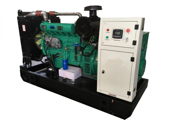 Ricardo-Motor-Generator 12kw-300kw 
